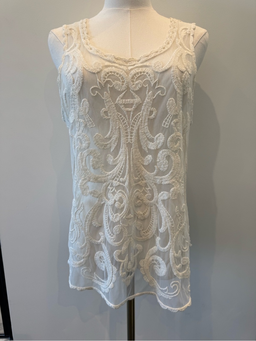 Express Ivory Sheer Mesh Lace Embroidered Top Boho Fairy Festival Gypsy Feminine